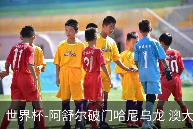 世界杯-阿舒尔破门哈尼乌龙 澳大利亚1-1埃及进点球